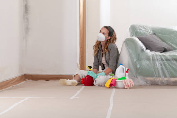 Reliable Mold Inspection And Testing contractor in Worcester, MA by Mold Remediation HQ